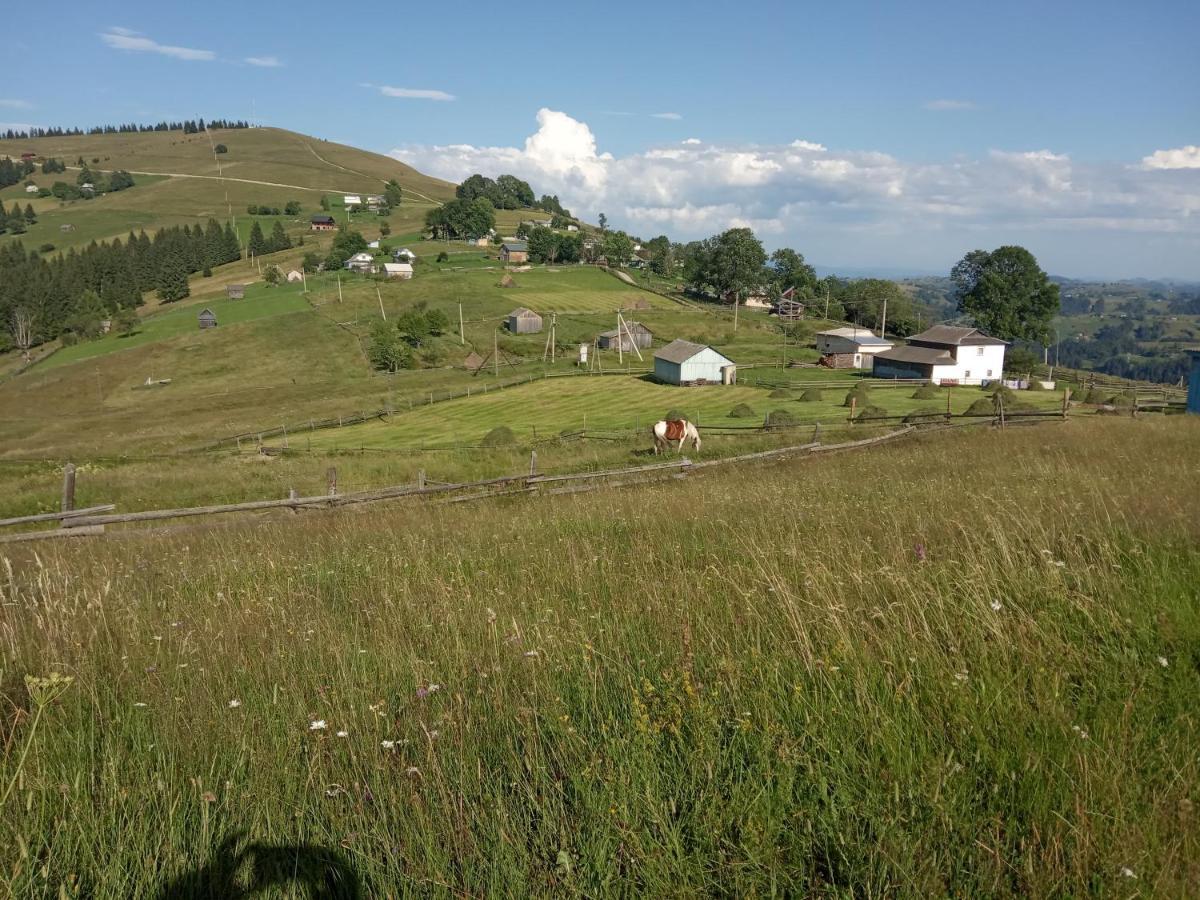 Pidkova Verkhovyna Exterior foto