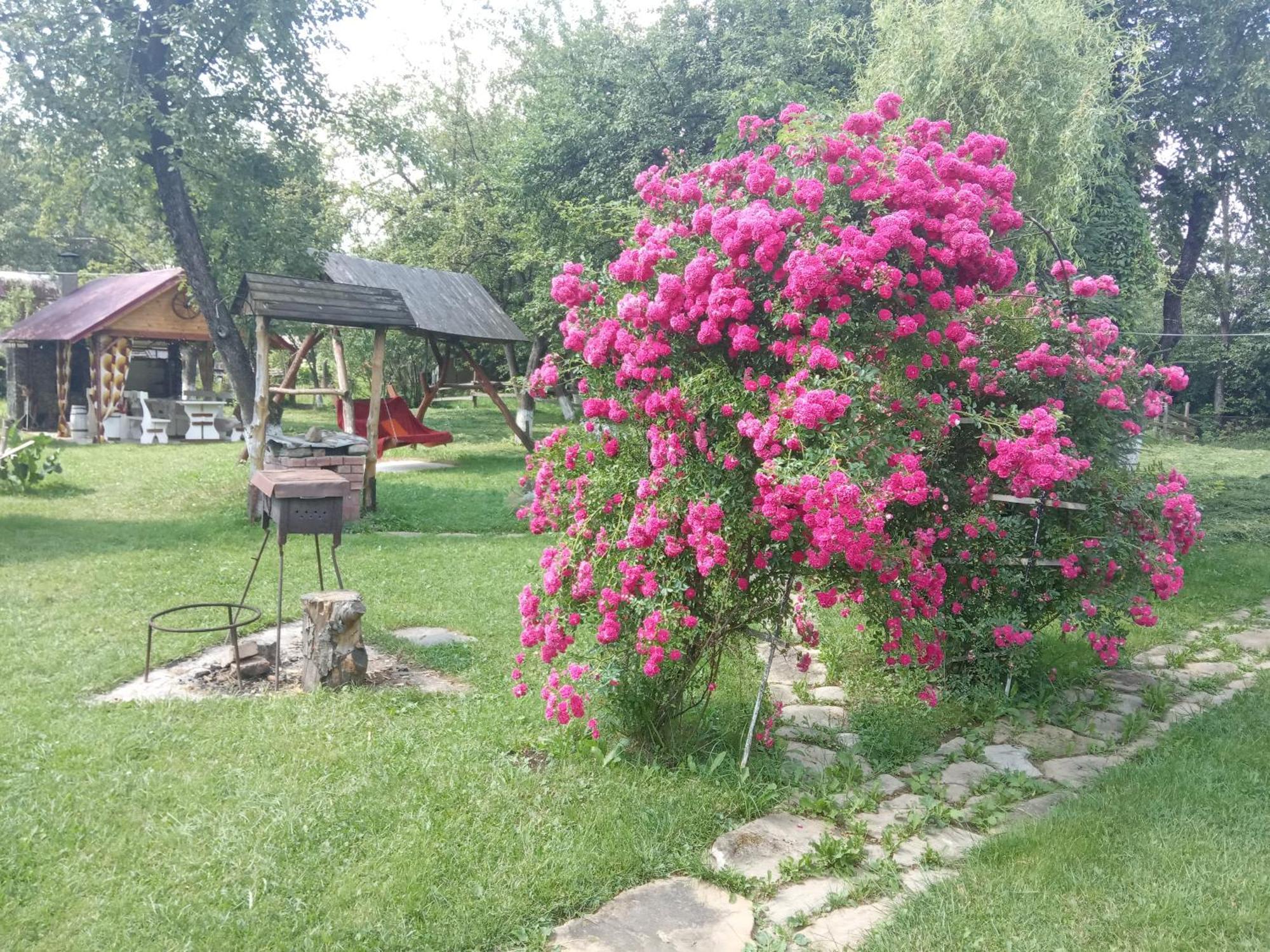 Pidkova Verkhovyna Quarto foto