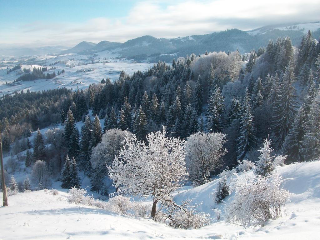 Pidkova Verkhovyna Exterior foto