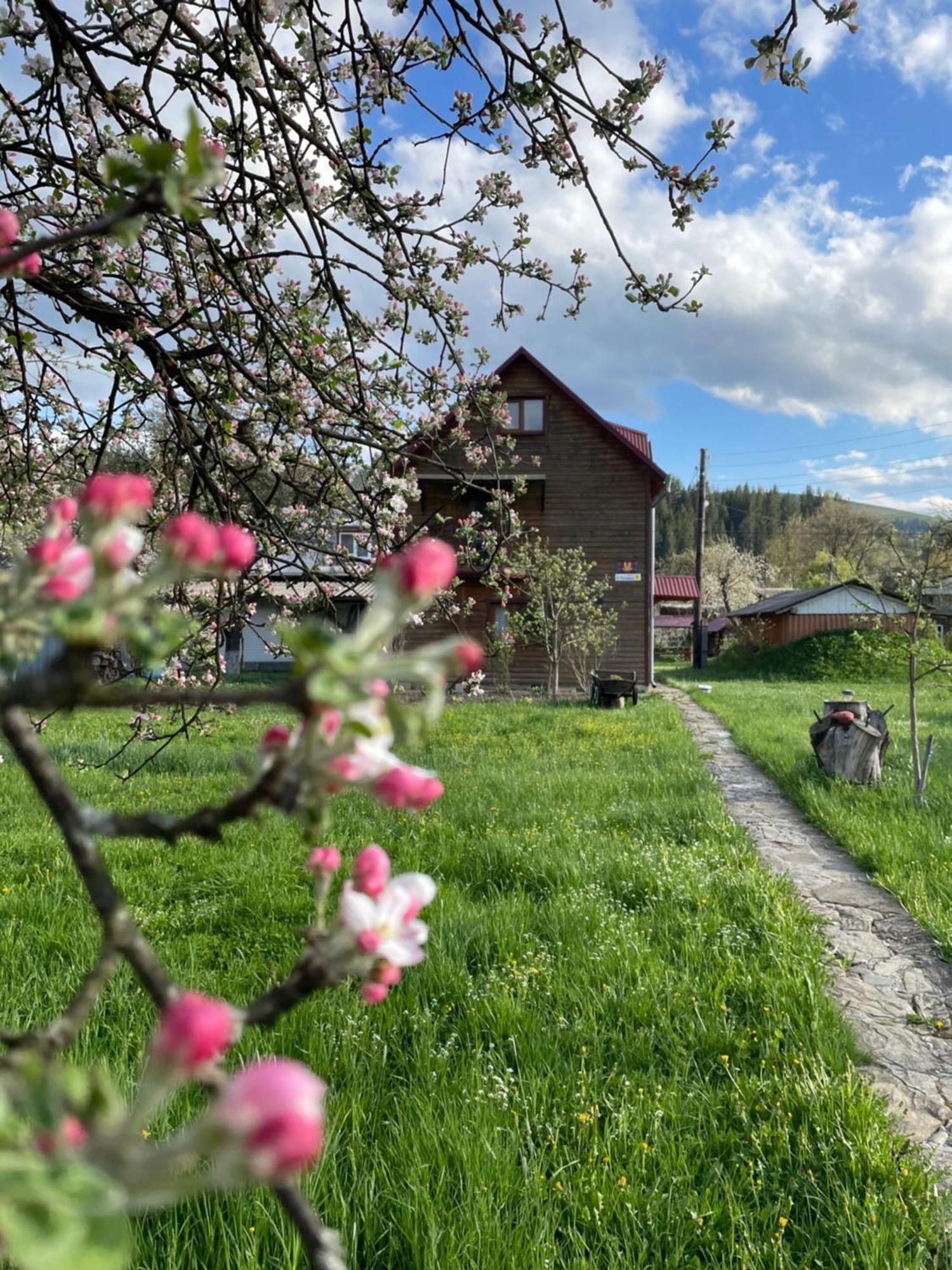 Pidkova Verkhovyna Exterior foto